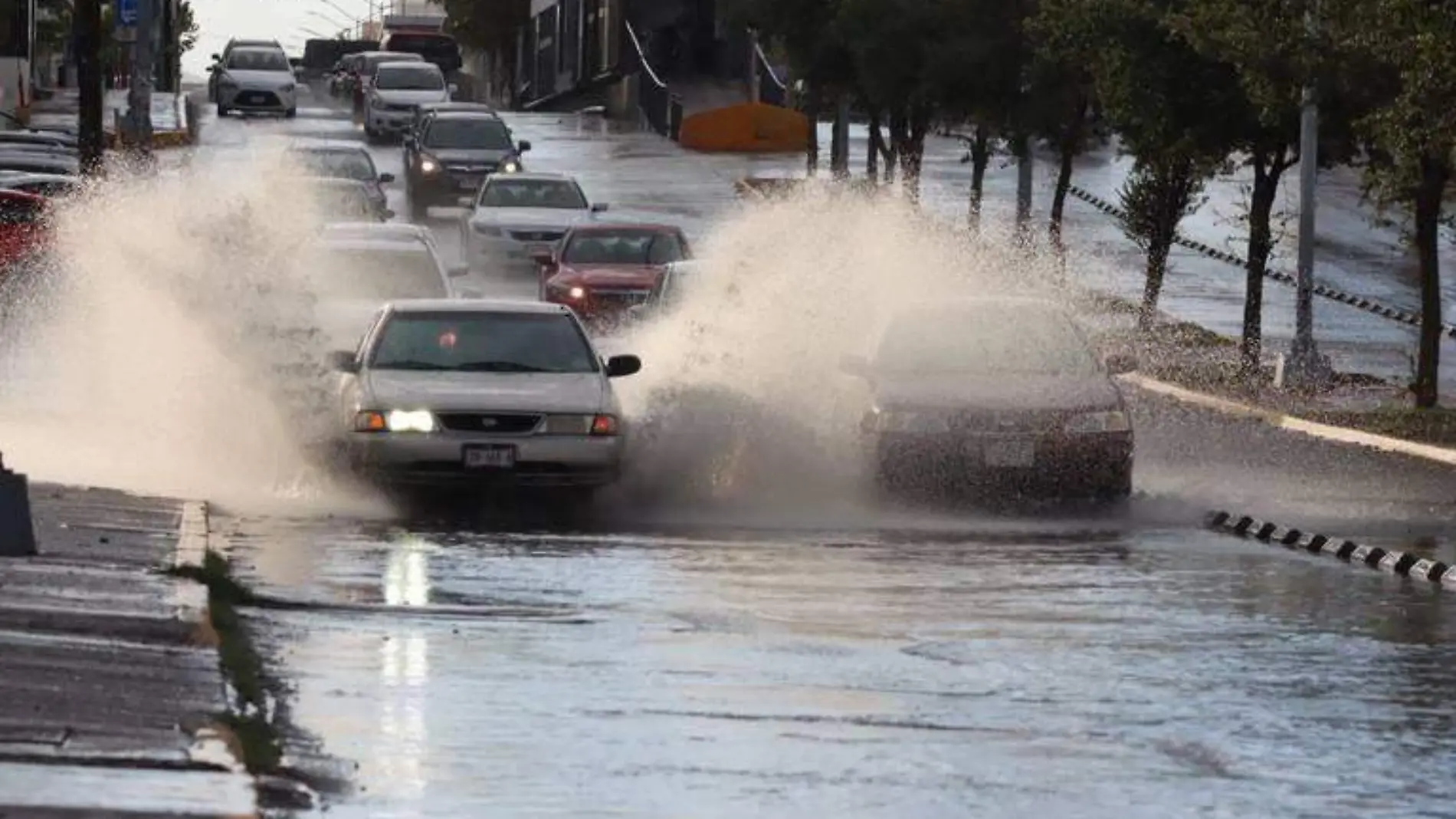 lluvia chihuahua